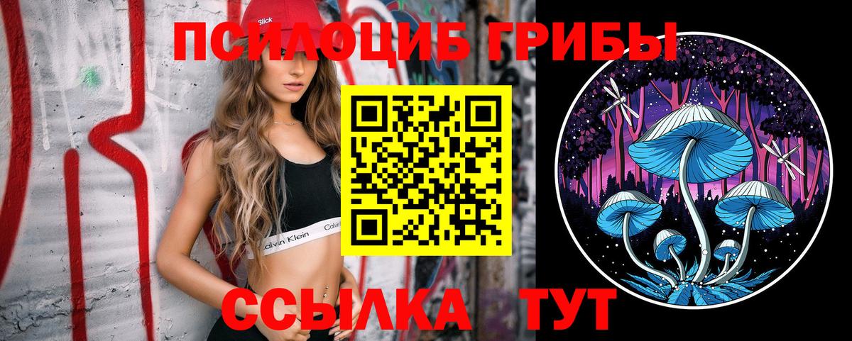 Галлюциногенные грибы Magic Shrooms Кирово-Чепецк